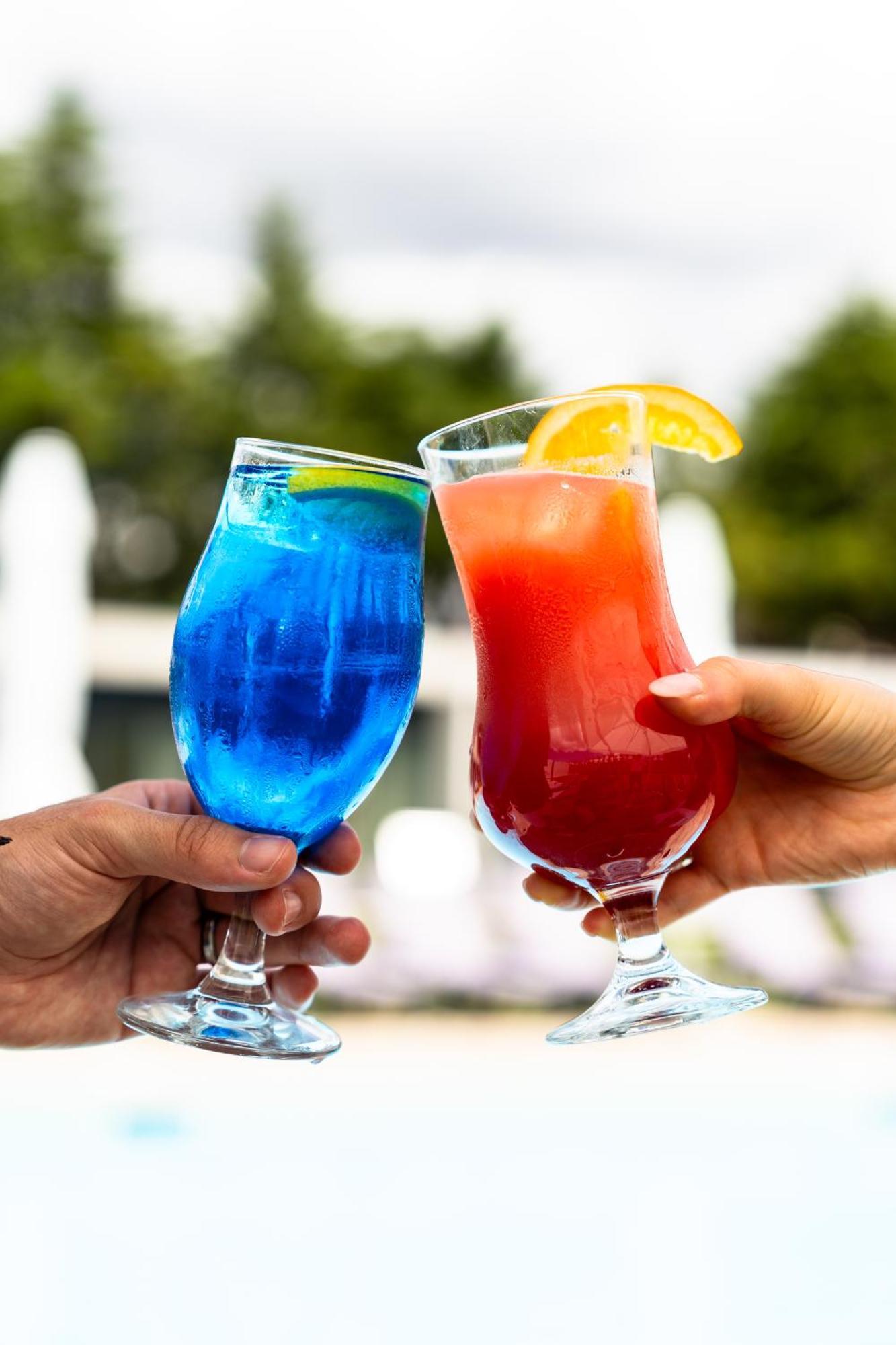 Borralha Hotel, Restaurante & Spa Vila Real Ngoại thất bức ảnh